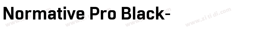 Normative Pro Black字体转换
